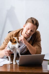 Happy dog hundefutter test - Die Auswahl unter der Vielzahl an verglichenenHappy dog hundefutter test!