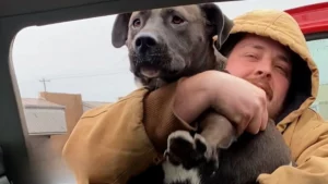 Mann umarmt lächelnd seinen Hund im Auto.