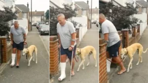 Mann mit Gipsfuß geht Hund spazieren.