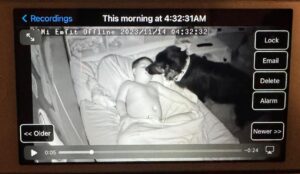 Hund küsst schlafendes Kind bei Nacht.