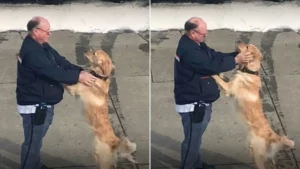 Mann umarmt freudigen Hund im Stehen.