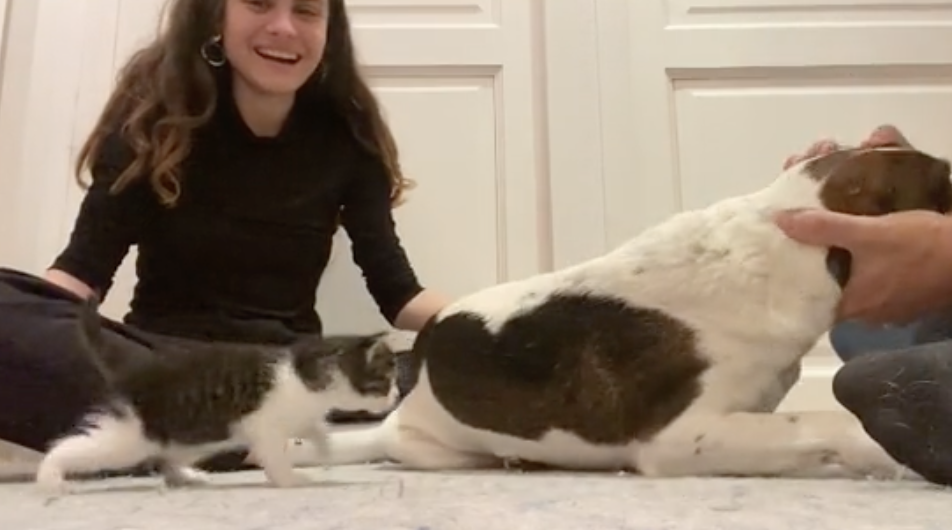 Frau mit Katze und Hund auf Boden.
