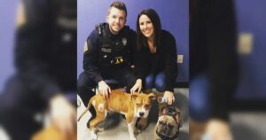 Polizist, Frau und zwei Hunde lächeln.