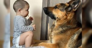 Kind und Hund teilen Moment.