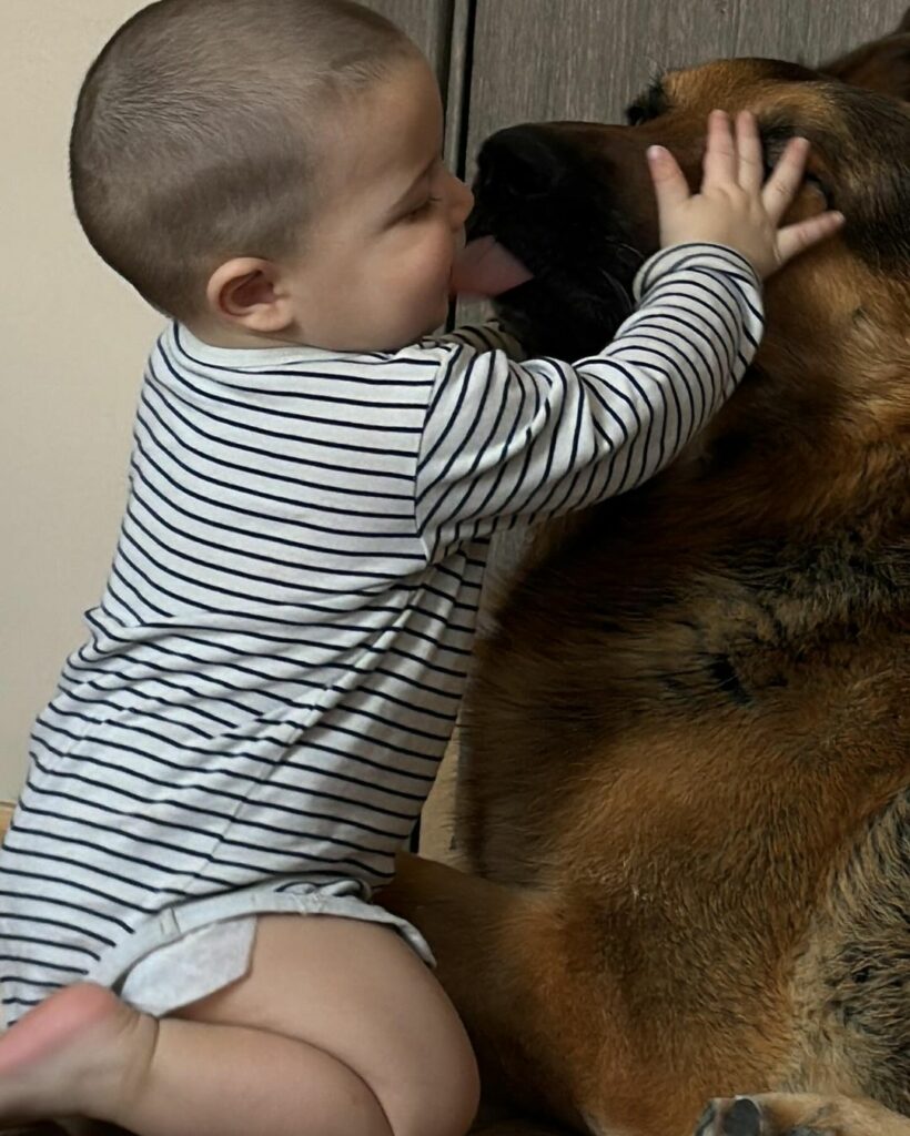 Kleinkind küsst liebevoll einen Hund.