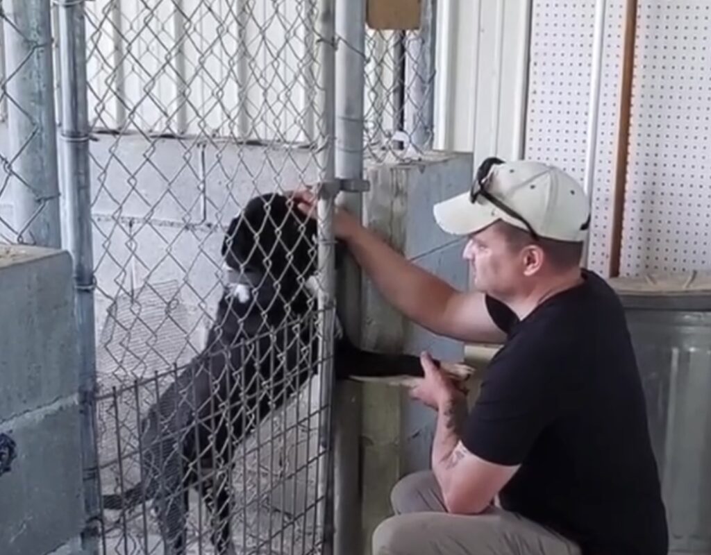 Mann streichelt Hund im Tierheim.