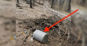 Müll im Wald mit Pfeil markiert