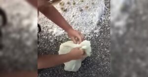 Person reinigt verschmutztes Tuch draußen.